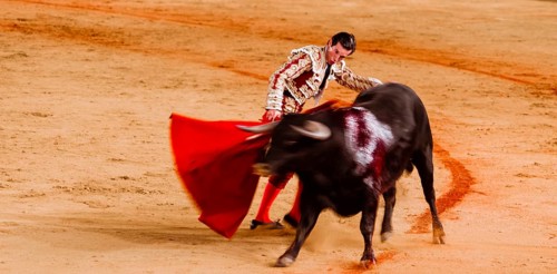 Bull with Matador