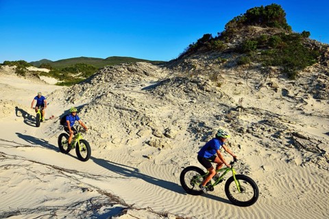 Mountain biking on fat bikes through dunes
