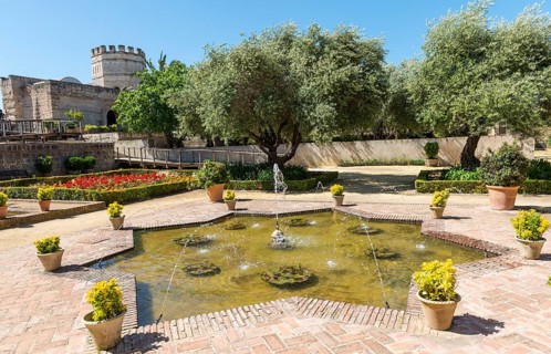 Fountains