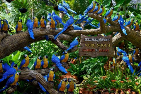 Parrot figures