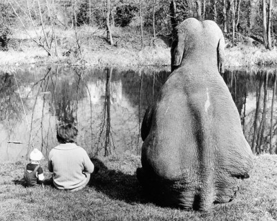 Elephant fishing