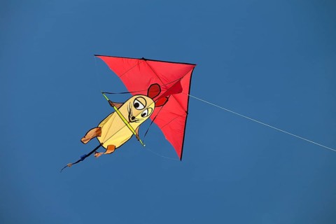 Kite with the Show with the mouse figure