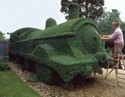 Gardener cuts draught from hedges