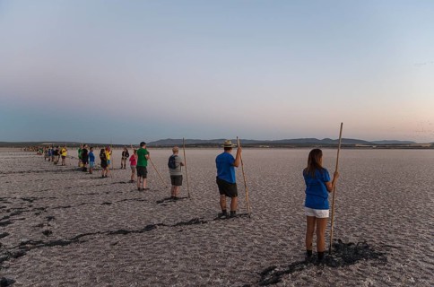 Volunteers at dawn at the Laguna de Fuente de Piedra