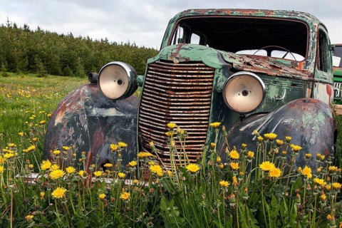 Vintage car