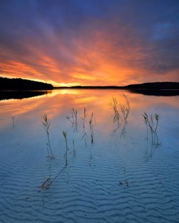 Great Furstensee lake with reeds