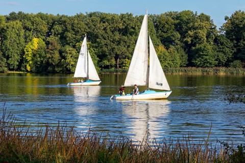 Sailboats