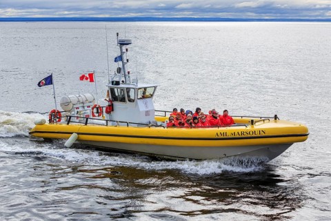 Whale watching tourists on the St. Lawrence River