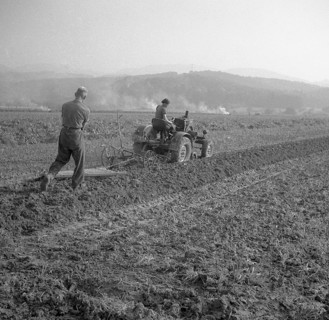 Workers plough the field with a tractor