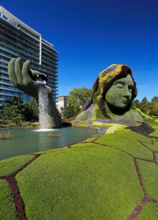 Plant sculpture
