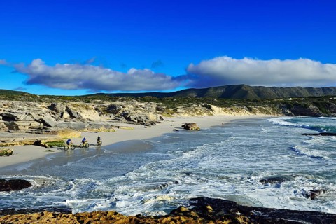 Mountain bikers with Fatbikes at the beach