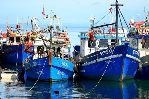 Fishing boats in the bay of Puerto del Hambre