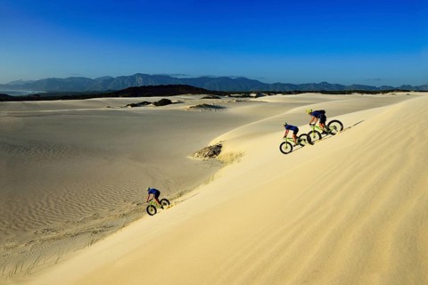 Mountain bikers with fat bikes descending sand dunes