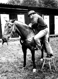 Man climbs with stool on horse ca. 1970s