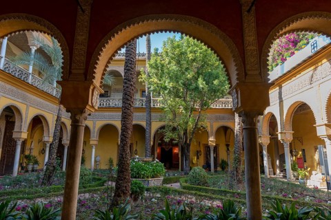 Courtyard with palm trees
