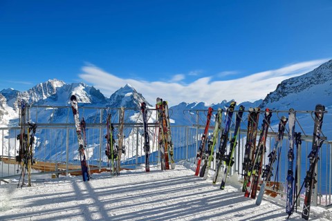 Ski parked in front of snowy mountain scenery