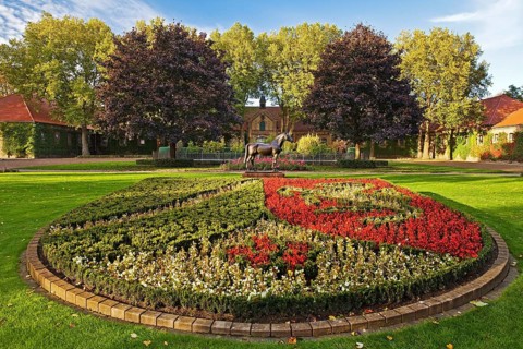 Flower bed as coat of arms of North Rhine-Westphalia