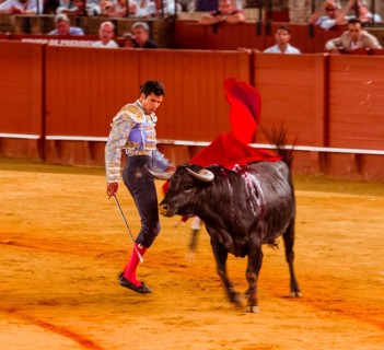 Racing bull with matador