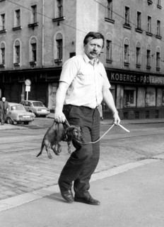 Man wears a dachshund on his neck ca. 1970s
