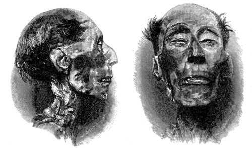 Mummy of Ramses II