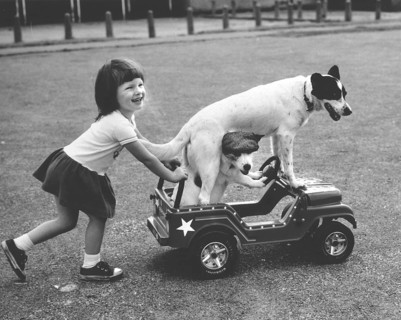 Girl pushes carriage with two dogs