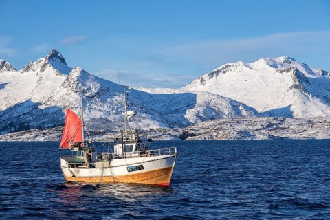 Traditional fishing boat catching the net