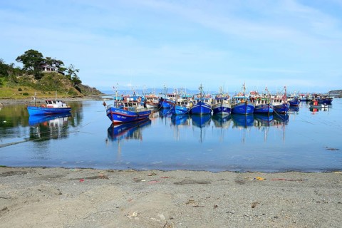 Fishing boats in the bay of Puerto del Hambre