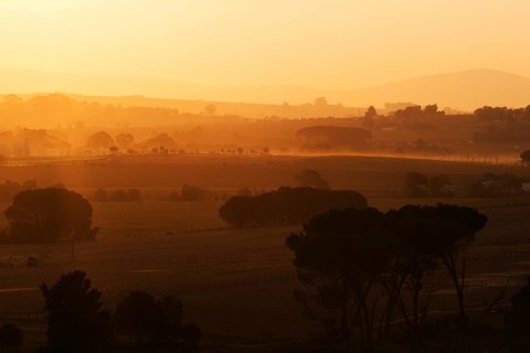 Sunset over wine region