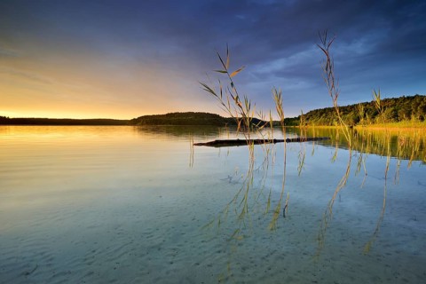 Great Furstensee lake with reed