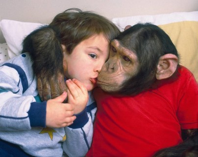 Chimpanzee and boy cuddling