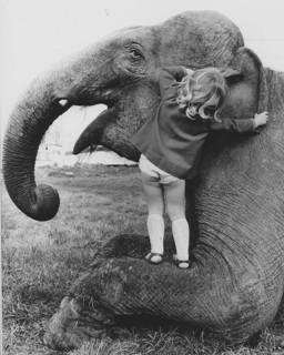 Girl whispers elephant in ear