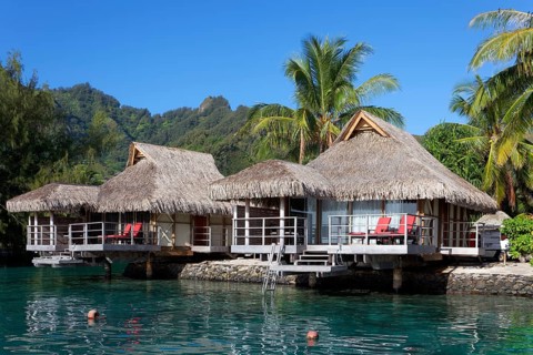 Bungalows by the sea with palm trees in front of green hills