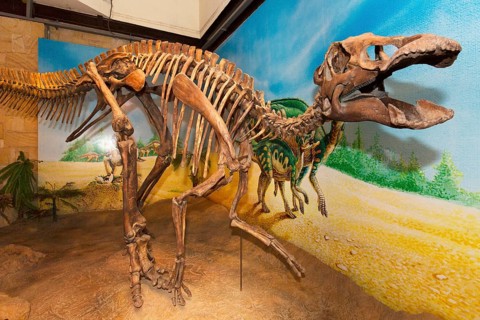 Skeleton of a Dinosaur