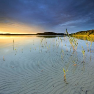 Great Furstensee lake with reeds