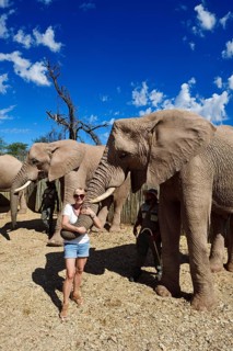 Tourist posing with African elephant (Loxodonta africana)