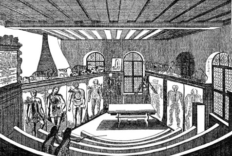 Anatomical theater in the university of Altdorf