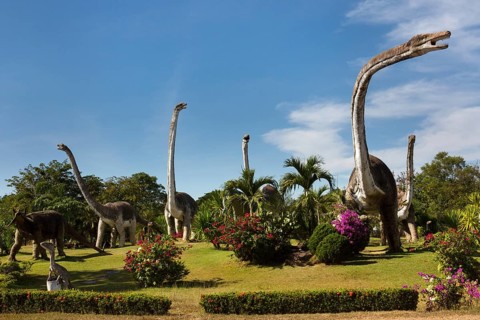 Dinosaur Park