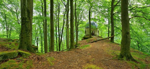 Pavilion from 1593 at the Kleiner Winterberg mountain surrounded by old beech forest