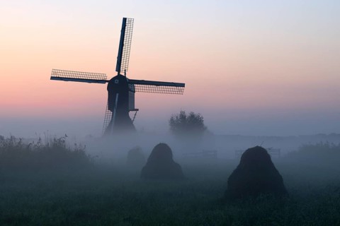 Historical windmill in the early morning mist at dawn