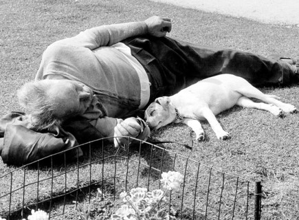 Dog and owner sleep in the grass ca. 1955