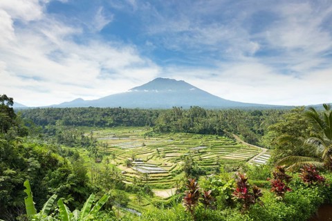 View of rice terraces and Gunung Agung volcano