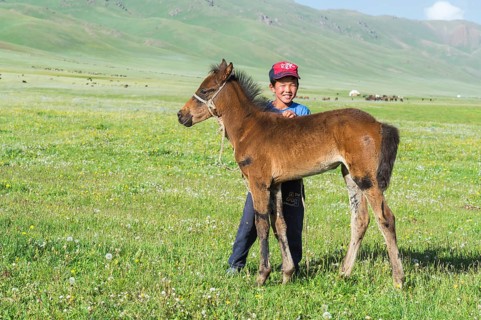 Kyrgyz boy with his foal