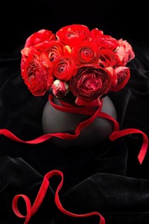 Black flower vase with red ranunculus and red ribbon on black velvet