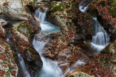 River course of the Lepenica river in autumn