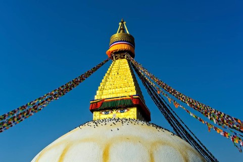 Boudhanath Stupa with birds