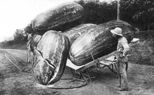 Agriculture