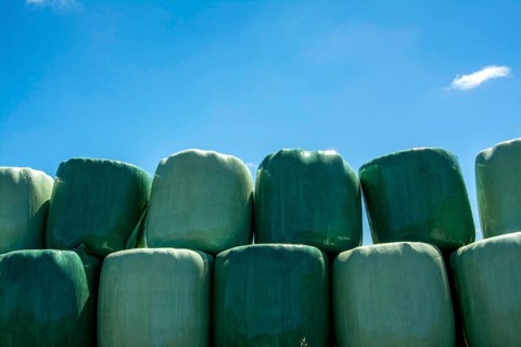 Bales wrapped in green plastic