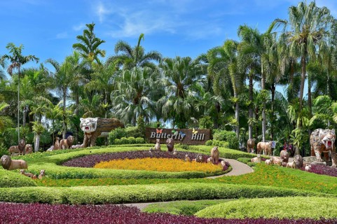 Butterfly Hill