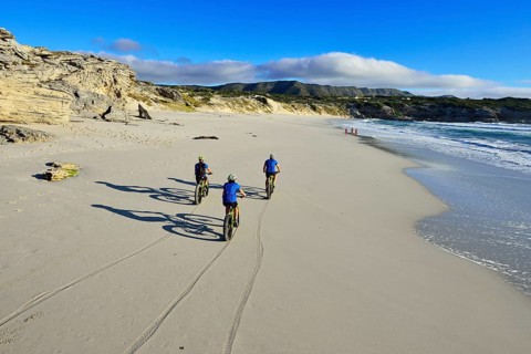 Mountain bikers with Fatbikes at the sandy beach