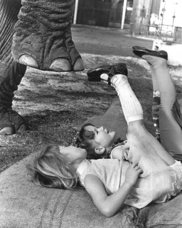 Two girls playing with an elephant